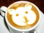 teddy bear coffee