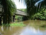 bridge at river negro